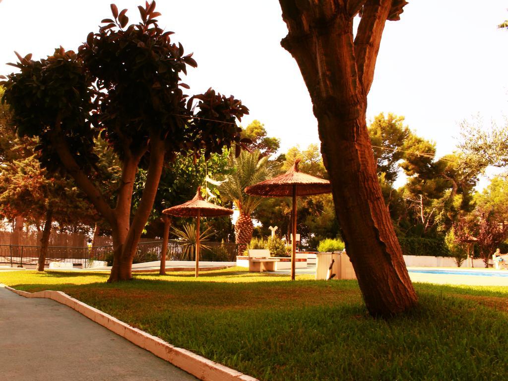 Coveta Beach Apartament El Campello Bagian luar foto